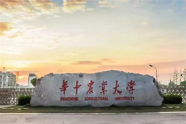 武漢211大學(xué)有哪些？2019武漢211大學(xué)名單排名榜 (7所)