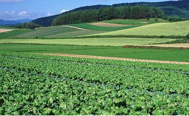 未來發(fā)展十大前景行業(yè)，未來發(fā)展最有潛力的行業(yè) 