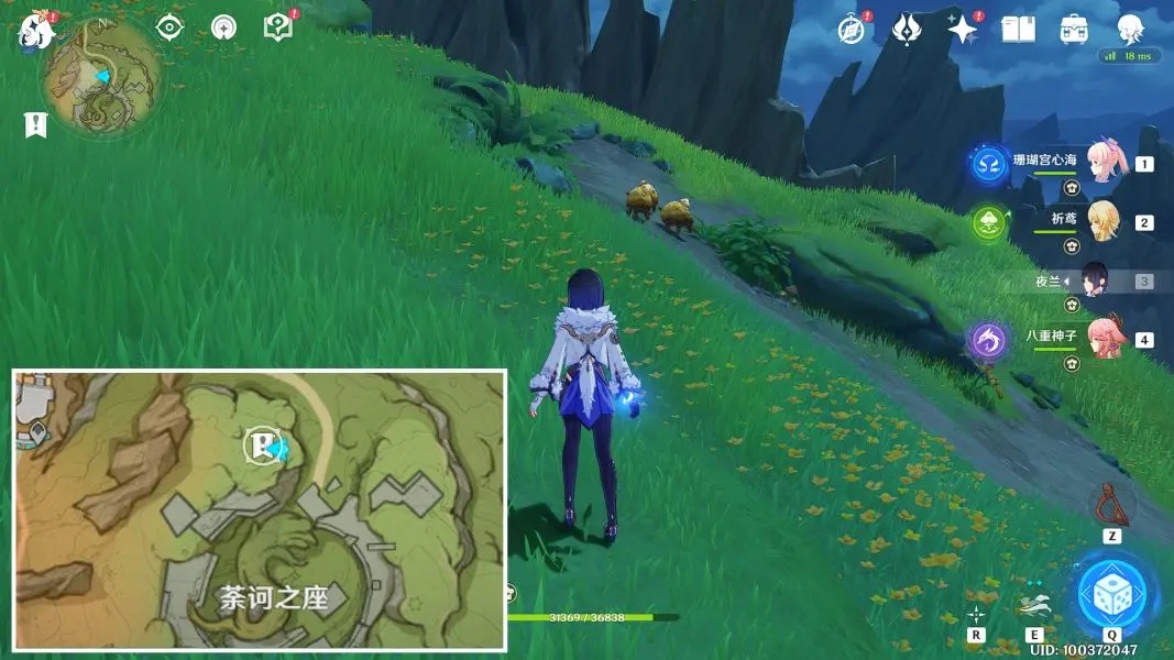 原神與珍稀之鳥類的短暫邂逅任務(wù)全流程攻略