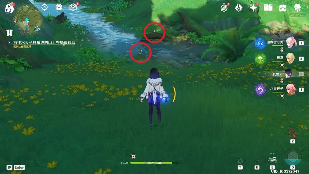 原神與珍稀之鳥類的短暫邂逅任務(wù)全流程攻略