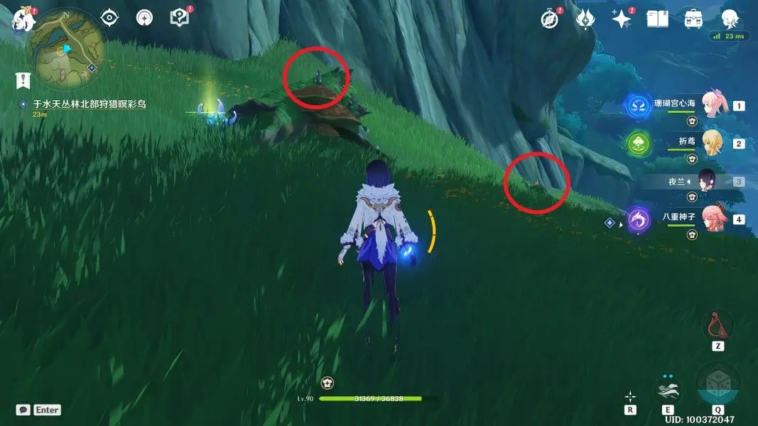 原神與珍稀之鳥類的短暫邂逅任務(wù)全流程攻略