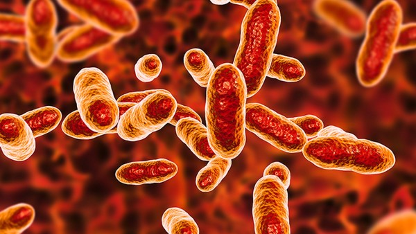 尖銳濕疣應(yīng)該怎么治療最好