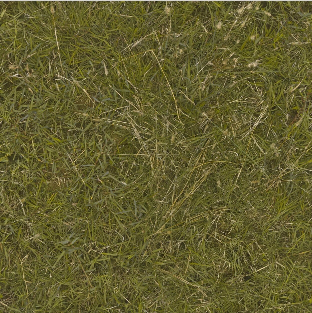 《龍之信條2》新環(huán)境4K材質(zhì)包公布 體積達(dá)8GB