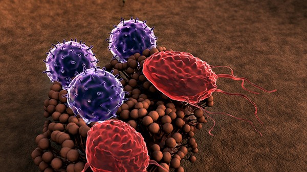 尖銳濕疣需要治療多長時間