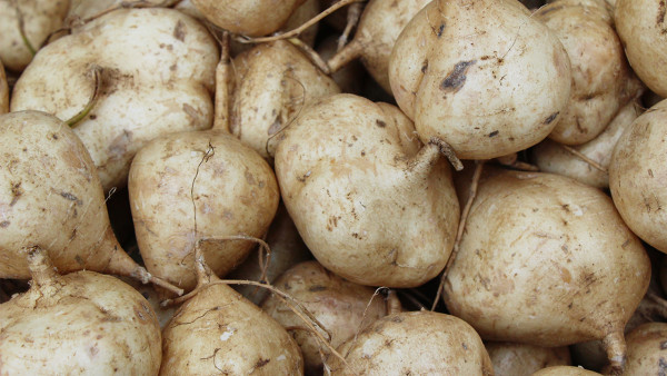 媽咪愛的功效與作用 媽咪愛還富含維生素嗎