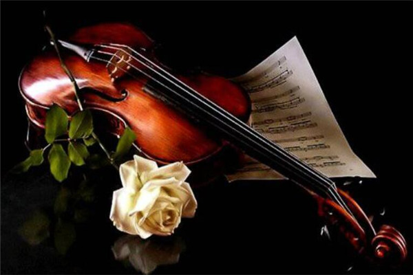 十種不適合學(xué)小提琴的人 中招了千萬(wàn)別學(xué)，燒錢還沒(méi)費(fèi)時(shí)間