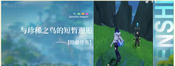 原神與珍稀之鳥類的短暫邂逅任務(wù)全流程攻略