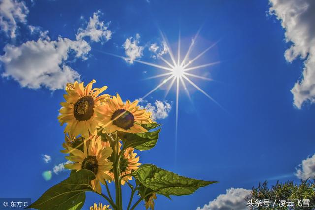 最適合炎炎夏日讀的3首清涼古詩詞，一定給你帶來一抹心中的清涼（最適合炎炎夏日讀的3首清涼古詩詞）(2)