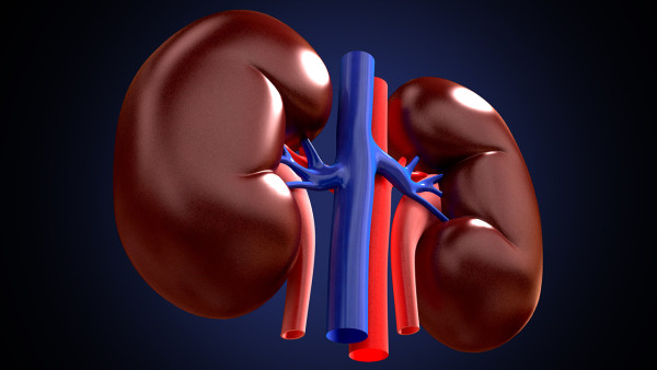 重復(fù)腎伴腎積水是怎么回事