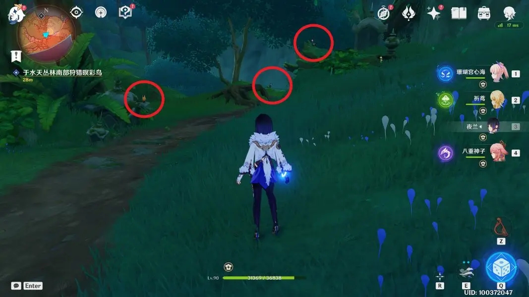 原神與珍稀之鳥類的短暫邂逅任務(wù)全流程攻略