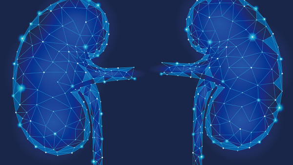 診治梅毒要懂得這些常識 感染梅毒后多久能診治出來