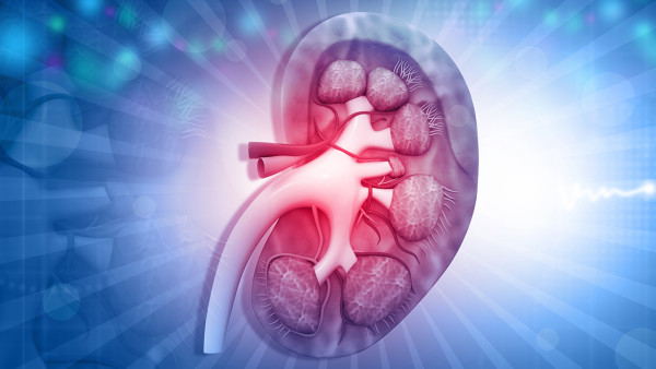 導(dǎo)致急性鏈球菌感染后腎炎