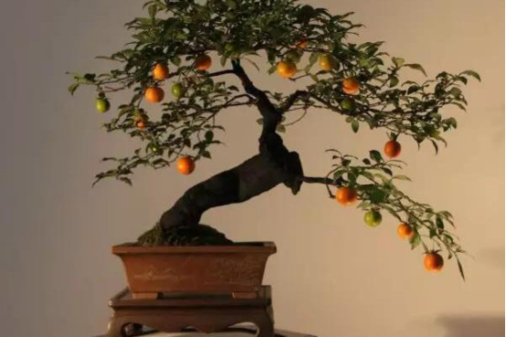 創(chuàng)業(yè)商機網(wǎng)小本生意 小吃攤上榜 餐飲行業(yè)門檻低