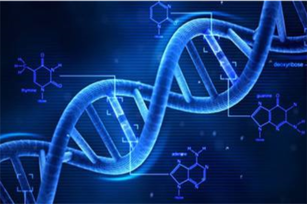 東南大學(xué)王牌專業(yè)排名 生物醫(yī)學(xué)工程上榜(4個(gè))