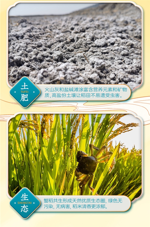 年度新米：隆平農(nóng)場(chǎng)東北晶米10斤39.9元發(fā)車(chē)（蒸煮都好吃）