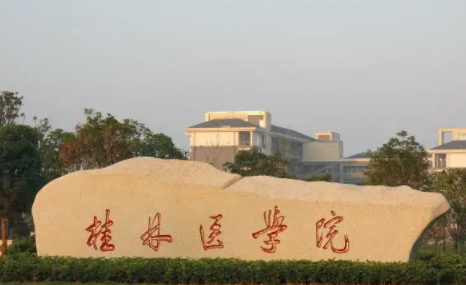 廣西大學(xué)前十高校排名，廣西的高校有哪些