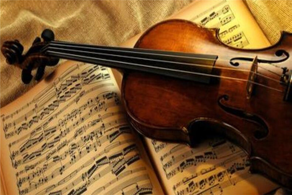 十種不適合學(xué)小提琴的人 中招了千萬別學(xué)，燒錢還沒費(fèi)時(shí)間