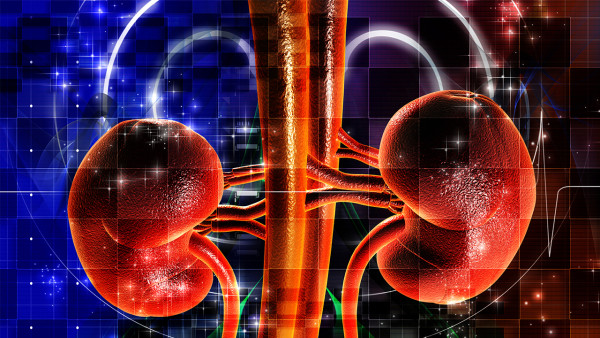 腎結(jié)石體外碎石需要住院嗎