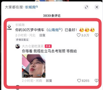 “長城 炮！”火遍全網(wǎng) 長城汽車：潑天的富貴終于輪到我們