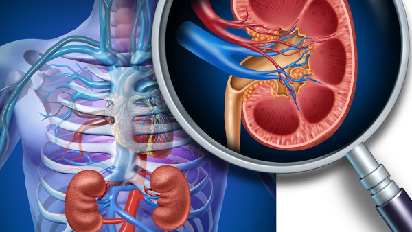 今年檢查出來(lái)的慢性腎衰竭