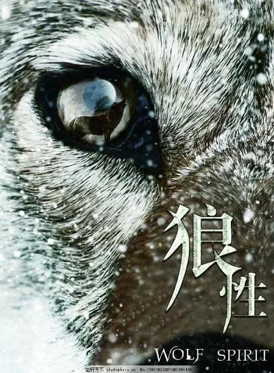 任正非發(fā)展華為的歷程，你學(xué)到了嗎（任正非發(fā)展華為的歷程）(7)