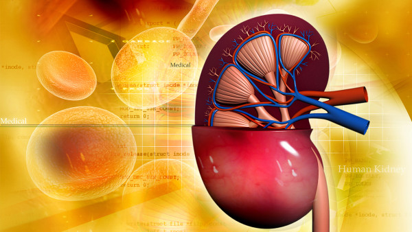 iga腎炎怎么區(qū)分嚴重性