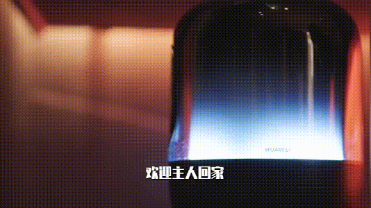 華為正式發(fā)布 打造 未來家 ，提升幸福感（華為正式發(fā)布打造）(13)