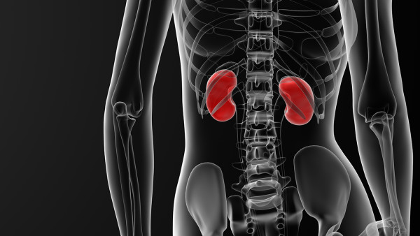 iga隱匿性腎炎輕度血尿