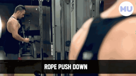 手臂訓(xùn)練計劃，六個訓(xùn)練動作，帶你練出麒麟臂，增肌人群必備（手臂訓(xùn)練計劃六個訓(xùn)練動作）(12)