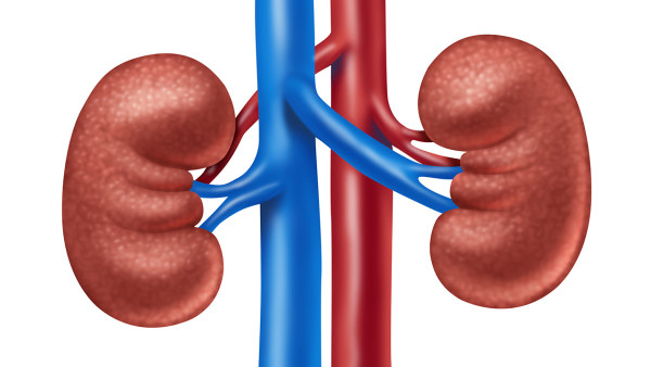 腎結(jié)石疼痛發(fā)作時(shí)如何治療