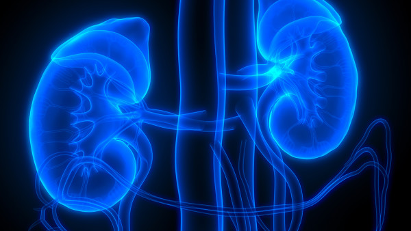 孩子他爸一檢查就是尿毒癥