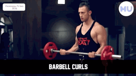 手臂訓(xùn)練計劃，六個訓(xùn)練動作，帶你練出麒麟臂，增肌人群必備（手臂訓(xùn)練計劃六個訓(xùn)練動作）(7)