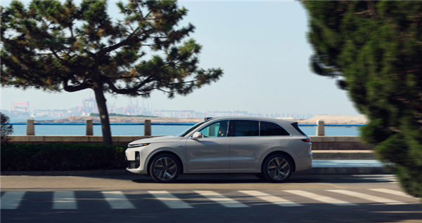 理想丟的面子全靠它挽回