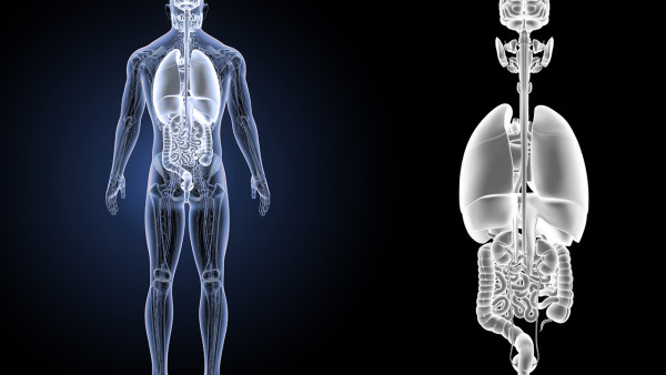 驗(yàn)血可以查出風(fēng)濕類風(fēng)濕么