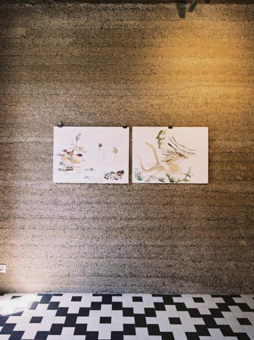 與自然連接，藝術(shù)是共通的語言