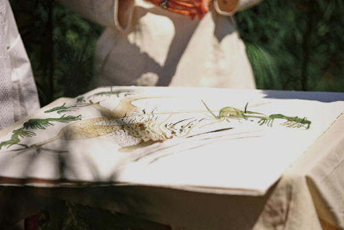 與自然連接，藝術(shù)是共通的語言