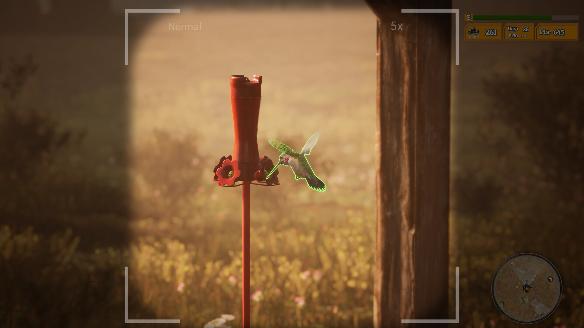 先菌子后小人 模擬游戲《羊肚菌：獵人2》現(xiàn)已正式發(fā)售