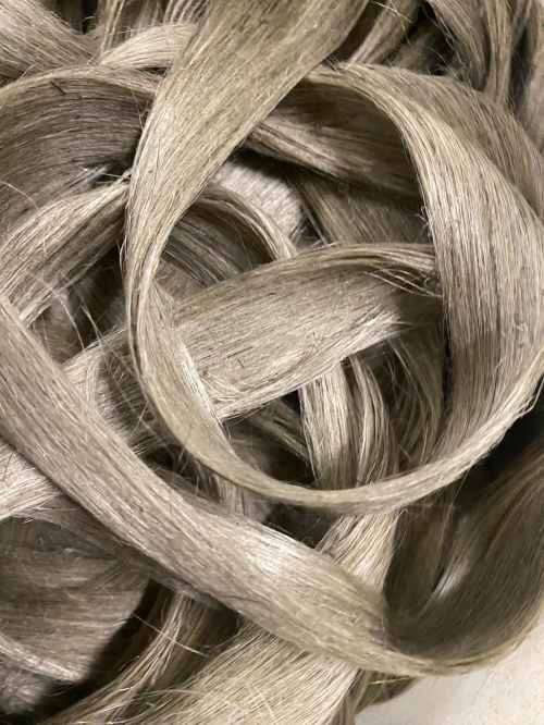 與自然連接，藝術(shù)是共通的語言