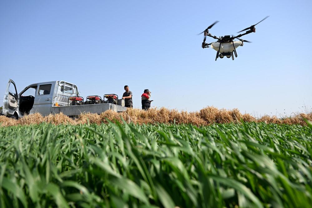 2024春天田野里的新故事,全國推進春季農(nóng)業(yè)生產(chǎn) 6