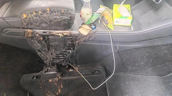 一根數(shù)據(jù)線 差點把特斯拉Model Y燒了