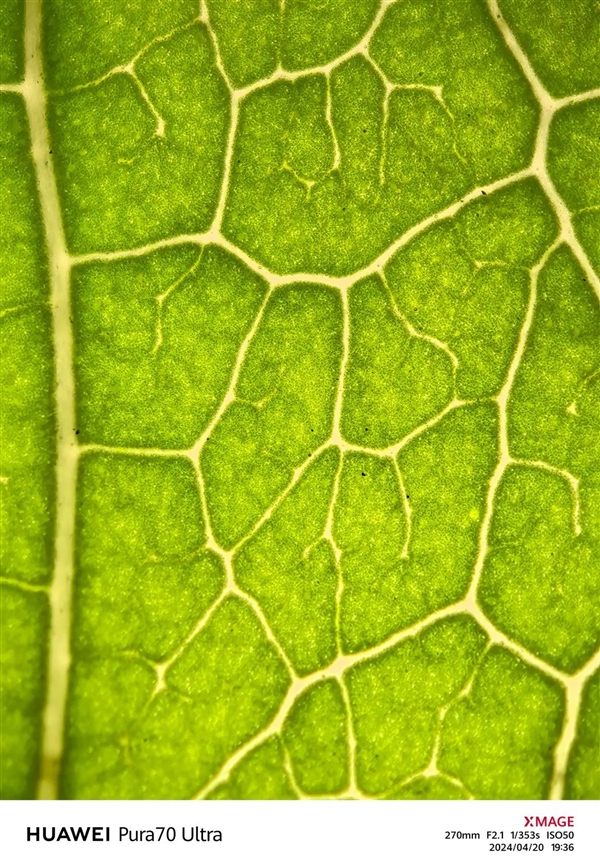 體驗(yàn)了三天華為Pura 70 Ultra 我明白了為啥P系列要改名