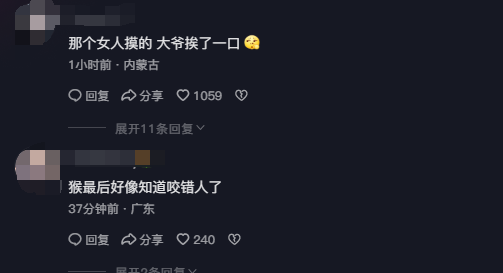 大媽摸猴子屁股致旁邊大爺被咬傷引熱議 網(wǎng)友：大爺扛下所有