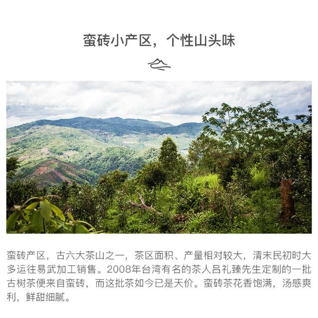 市集|生普 2017蠻磚百年古樹春茶（2017蠻磚百年古樹春茶）(2)