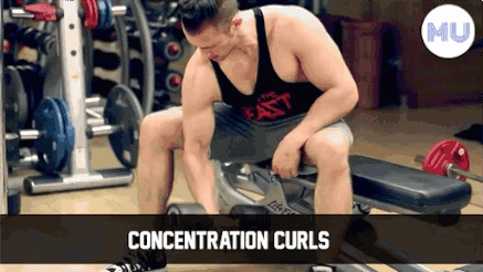 手臂訓(xùn)練計(jì)劃，六個(gè)訓(xùn)練動作，帶你練出麒麟臂，增肌人群必備（手臂訓(xùn)練計(jì)劃六個(gè)訓(xùn)練動作）(10)