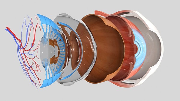 右眼隱斜視有什么辦法么急