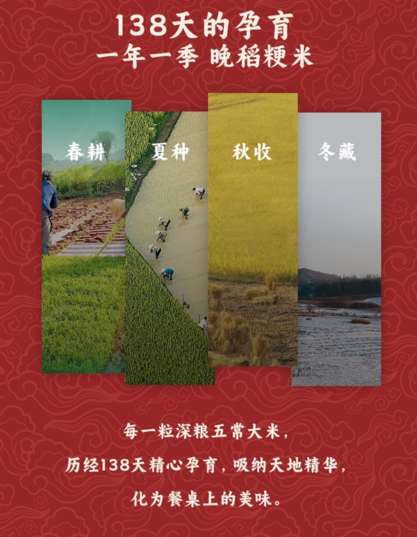 GB/T 19266標(biāo)準(zhǔn)：深糧控股五常大米10斤39.9元包郵到手