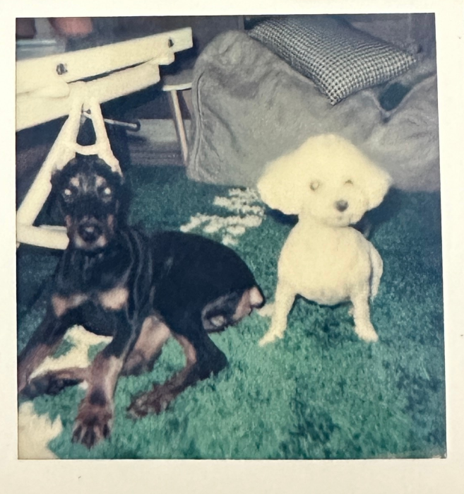 金靖官宣懷孕，孩子父親點贊金靖動態(tài)秀恩愛，更多戀愛細節(jié)曝光 8