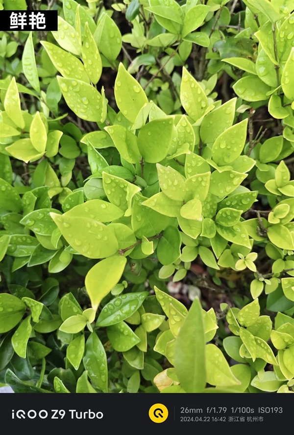 1999元＋6000mAh超大電池！這手機(jī)治好了我的續(xù)航焦慮