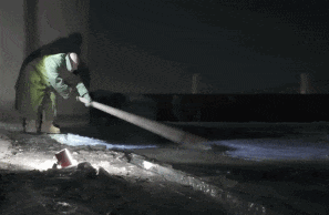 我們找到了冬泳怪鴿 發(fā)現(xiàn)他不是圣人