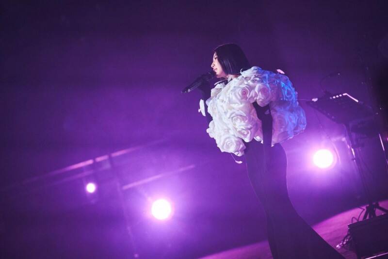 “蕓式唱腔”再度征服歌迷，許茹蕓2024演唱會首站北京順利啟航